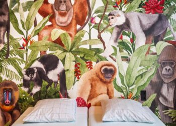 Apenheul gaat samenwerking aan met hostel: familiekamer in apenthema