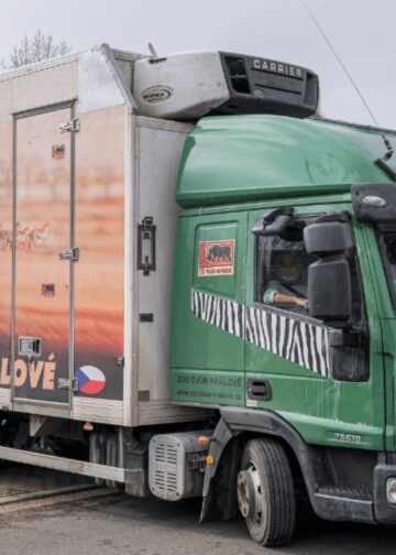 Europese dierentuinen gaan bongo’s naar Afrika sturen voor herintroductieproject