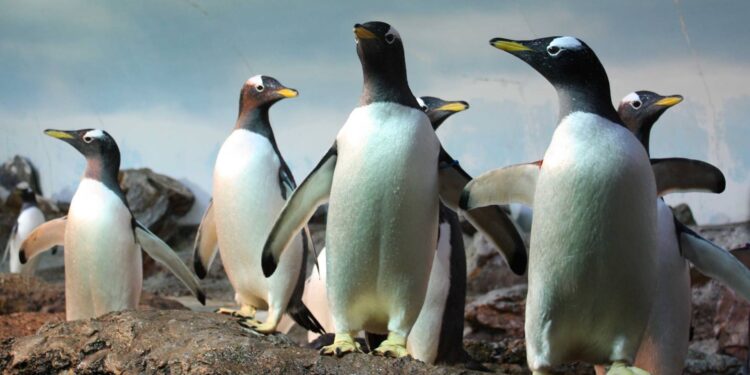 Beeld: Holger Menzel