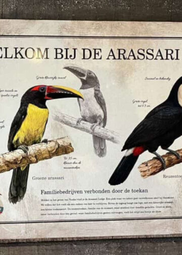 Opvallend bordje in nieuw diergebied Wildlands blijkt betaalde samenwerking