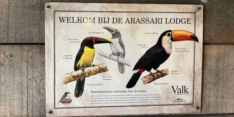 Beeld: Joost Ridder e.a.