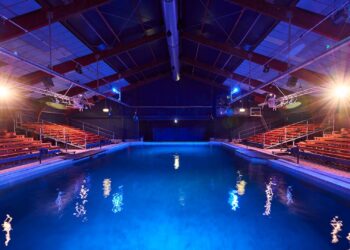 Einde in zicht voor zeeleeuwenshow Ouwehands Dierenpark: gebouw krijgt andere invulling