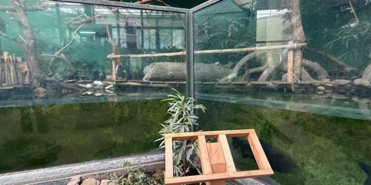 Beeld: Naomi Bekkers