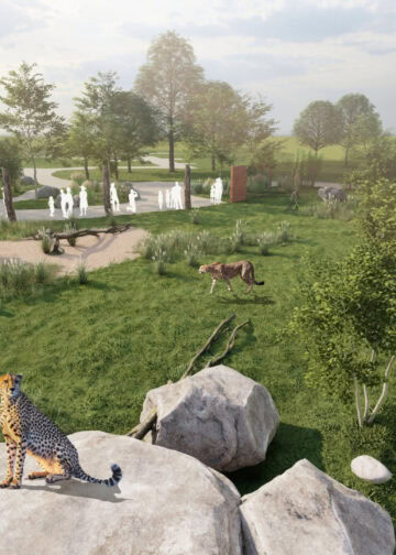 Plannen voor nieuwe cheetafokkerij mét mogelijk hotelkamers