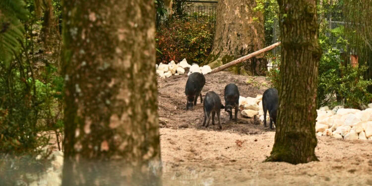 Beeld: Ronald van Weeren e.a.