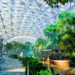 Geflopt mega-dierentuinproject wordt alsnog geopend: geen olifanten en neushoorns
