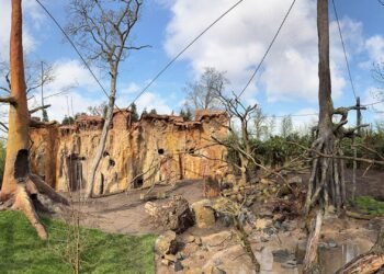 Nieuwe doorloopgebieden geopend in Duitse dierentuin: Loriversum en Amazonien