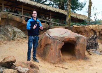 Wombats nu ook in Frankrijk te zien: twee nieuwe themagebieden geopend