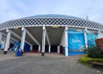 Dierentuinprominenten kritisch op Dolfinarium-koepel: ‘Raar verhaal’