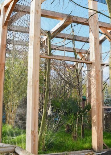 Rotterdams familiepark opent nieuw verblijf met Zuid-Amerikaanse diersoorten