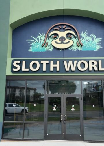 Bouw van eerste luiaardarium ter wereld loopt vertraging op