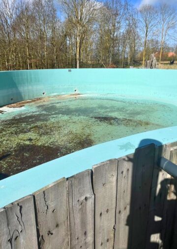 Lekkages en technische problemen bij zeehonden- en bruinvissenbassins in Dierenpark Hoenderdaell