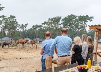 Dierentuindirecteuren uit heel Europa duiken op in Beekse Bergen
