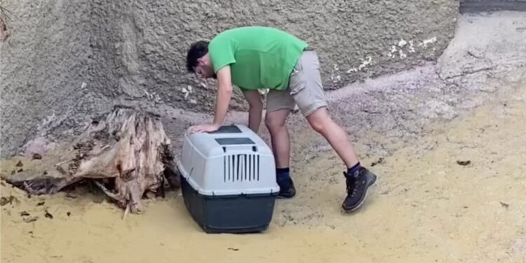 Beeld: Cécile Mievice e.a.