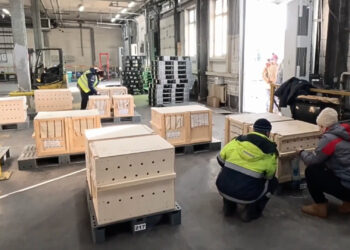 Pooldieren opgestuurd naar warm gebied in India voor privécollectie van multimiljardair