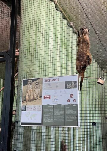 Code rood in Pakawi Park: dit is er veranderd in de omstreden dierentuin