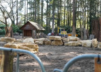 DierenPark Amersfoort gaat unieke diersoort naar Nederland halen