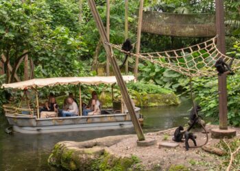 Bezoekers keren het minst graag terug naar Apenheul en Wildlands, blijkt uit onderzoek