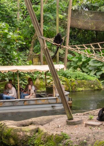 Bezoekers keren het minst graag terug naar Apenheul en Wildlands, blijkt uit onderzoek