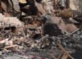 Overleden dieren bekend na verwoestende brand in Friese dierentuin