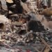 Overleden dieren bekend na verwoestende brand in Friese dierentuin