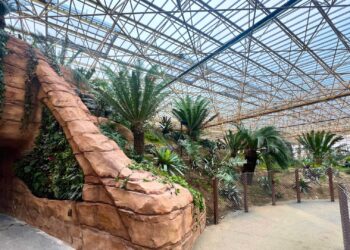Onzekerheid over loslopende spinnen in tropische kas Pairi Daiza: bord weggehaald