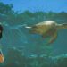 Dierentuingame Planet Zoo krijgt nieuwe versie met vogels en vissen