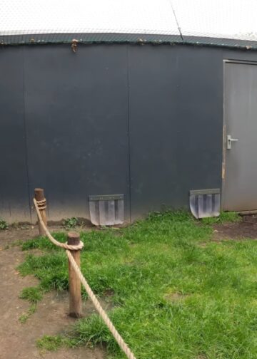 Eindhoven Zoo gaat niet verder met rode vari’s: ‘Onvoldoende ruimte’