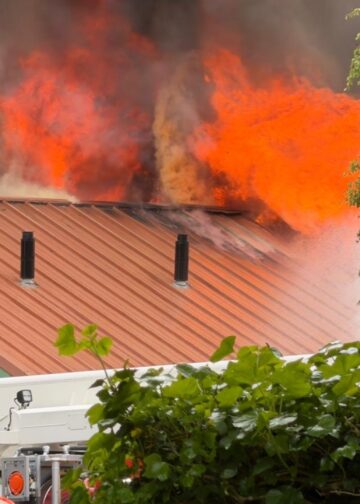 Grote brand in Friese dierentuin: meerdere dieren overleden