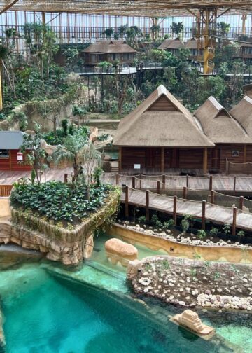 Pairi Daiza verwelkomt kleinste bewoners van gigantische kas Edenya