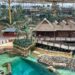 Pairi Daiza verwelkomt kleinste bewoners van gigantische kas Edenya