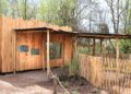 Gelders dierenpark neemt nieuw capibaraverblijf in gebruik: zwemvijver van 1500 vierkante meter