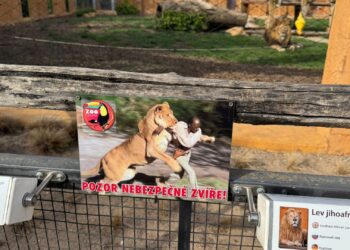 Tsjechische dierentuin shockeert bezoekers met waarschuwingsbordjes: ‘Pas op!’