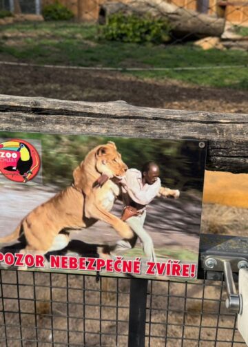 Tsjechische dierentuin shockeert bezoekers met waarschuwingsbordjes: ‘Pas op!’
