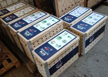Uitgestorven vogelsoort door dierentuinen teruggebracht naar Vietnam voor herintroductie