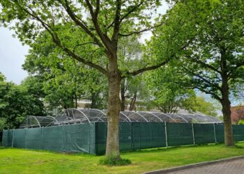 Nieuwe volières in Vogelpark Avifauna blijken onderdeel van speciaal broedcentrum