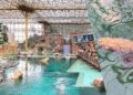 Een van de grootste zoetwatervissen ter wereld geïntroduceerd in megakas Pairi Daiza