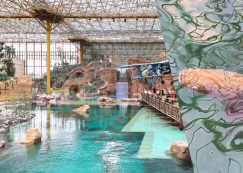 Een van de grootste zoetwatervissen ter wereld geïntroduceerd in megakas Pairi Daiza