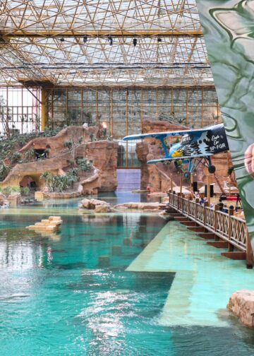 Een van de grootste zoetwatervissen ter wereld geïntroduceerd in megakas Pairi Daiza