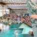 Een van de grootste zoetwatervissen ter wereld geïntroduceerd in megakas Pairi Daiza
