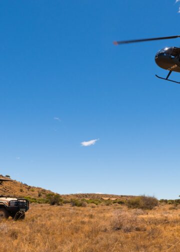 Nederlandse miljonair bouwt safaripark in Afrika: vergunning voor leeuwen is rond