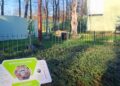 Onbekend voorwerp in orang-oetanverblijf Ouwehands Dierenpark: politie ingeschakeld