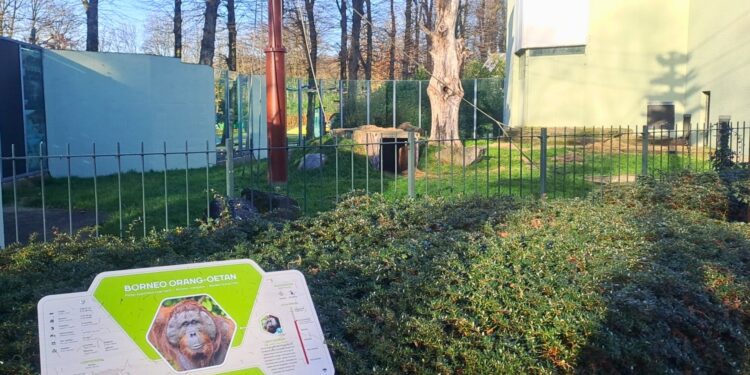 Beeld: Zoo Inside