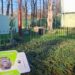 Onbekend voorwerp in orang-oetanverblijf Ouwehands Dierenpark: politie ingeschakeld