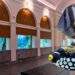 Artis opent vernieuwd aquarium: 250 diersoorten, tientallen aquaria en een investering van 50 miljoen euro