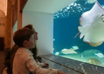 Artis verhoogt entreeprijzen: bezoek wordt duurder in vakanties en weekenden