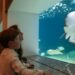 Artis verhoogt entreeprijzen: bezoek wordt duurder in vakanties en weekenden