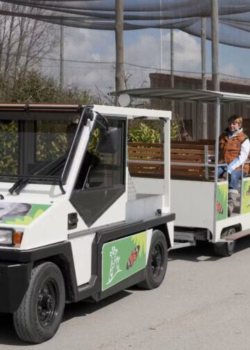 Treintje keert na jaren weer tijdelijk terug in Diergaarde Blijdorp