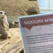 Diergaarde Blijdorp hangt nieuw bordje op bij stokstaartjesverblijf: ‘Moeilijke afwegingen’