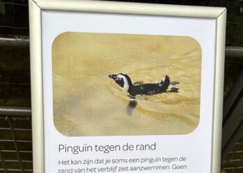Bezoeker beklad opvallend bord bij pinguïnverblijf Artis: ‘Ze willen eruit!’